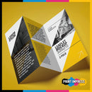 DL Folded Leaflets